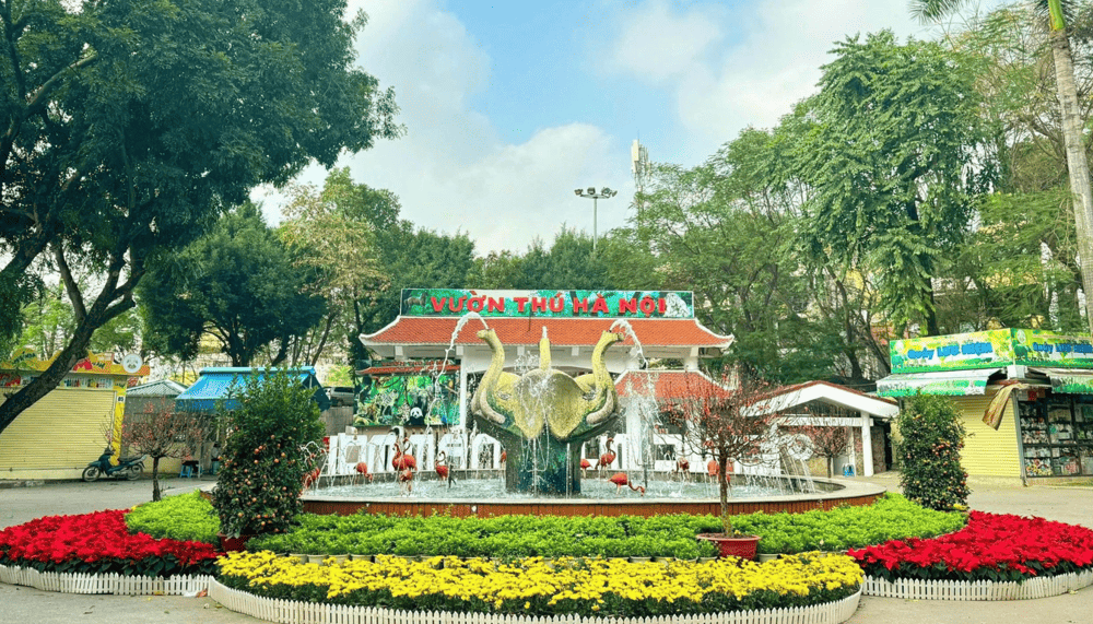 Hanoi Zoo offers easy access for both locals and tourists (Source: Fanpage VƯỜN THÚ HÀ NỘI)